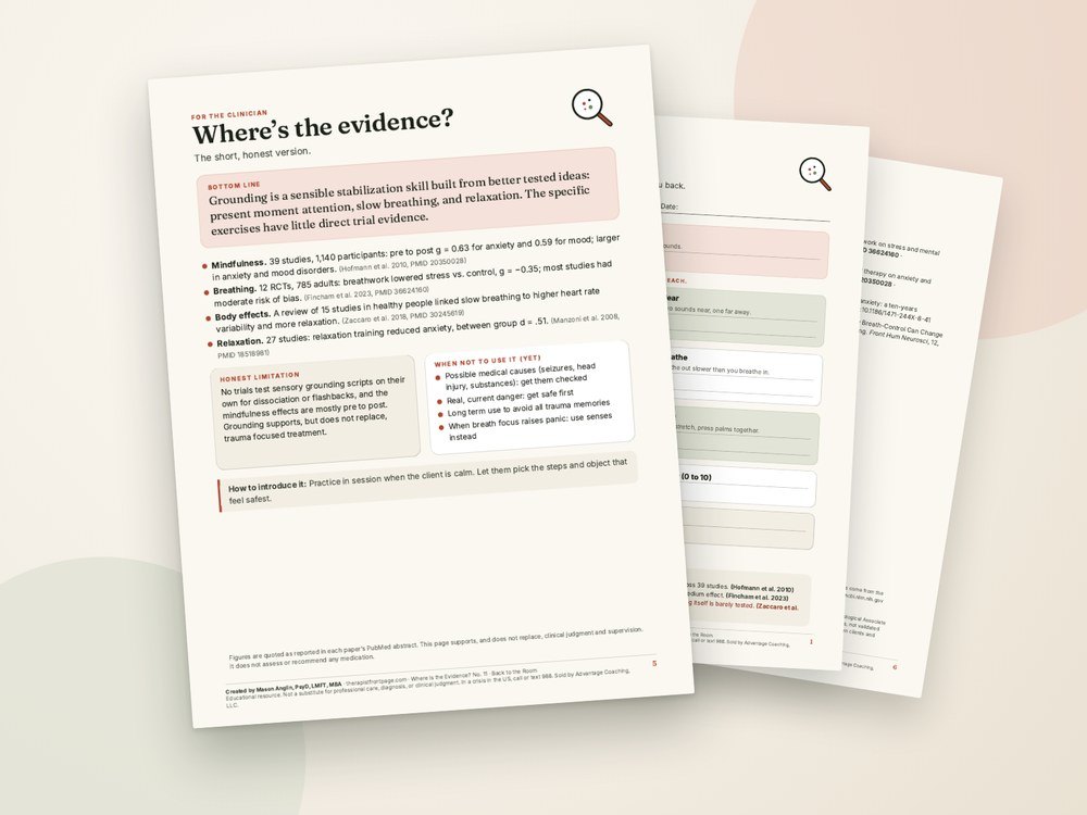The clinician evidence page and references from Back to the Room: Grounding