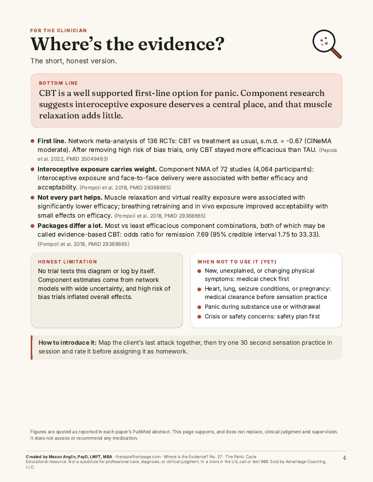 Preview of page 4, Where's the evidence?, from The Panic Cycle